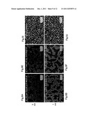 ASSEMBLIES COMPRISING BLOCK CO-POLYMER FILMS AND NANORODS diagram and image