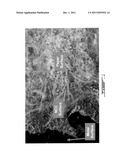 ADHESION WITH NANOCRYSTALLINE CELLULOSE diagram and image