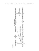 METHODS AND SYSTEMS FOR DIRECT SEQUENCING OF SINGLE DNA MOLECULES diagram and image