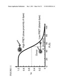 METHODS AND SYSTEMS FOR DIRECT SEQUENCING OF SINGLE DNA MOLECULES diagram and image