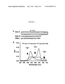 COLORIMETRIC BIOSENSOR WITH ALLOSTERIC DNAZYME ACTIVATION AND ROLLING     CIRCLE SIGNAL AMPLIFICATION diagram and image