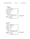 KITS AND METHODS FOR ASSESSING OXIDATIVE STRESS diagram and image