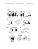 Anti-Cancer Drug Screening Method Using ROR-alpha diagram and image