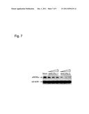 Anti-Cancer Drug Screening Method Using ROR-alpha diagram and image