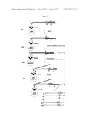 Method for Archiving and Clonal Expansion diagram and image