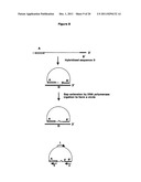 Method for Archiving and Clonal Expansion diagram and image