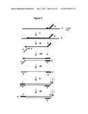 Method for Archiving and Clonal Expansion diagram and image