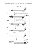 Method for Archiving and Clonal Expansion diagram and image