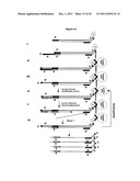 Method for Archiving and Clonal Expansion diagram and image