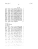 METHODS AND KITS FOR DETERMINING A RISK TO DEVELOP CANCER, FOR EVALUATING     AN EFFECTIVENESS AND DOSAGE OF CANCER THERAPY AND FOR CORRELATING BETWEEN     AN ACTIVITY OF A DNA REPAIR ENZYME AND A CANCER diagram and image