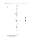 METHODS FOR SIMULTANEOUSLY MEASURING THE IN VIVO METABOLISM OF TWO OR MORE     ISOFORMS OF A BIOMOLECULE diagram and image