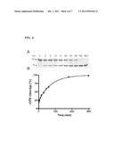 Cysteine Protease Autoprocessing of Fusion Proteins diagram and image