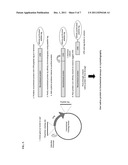 Cysteine Protease Autoprocessing of Fusion Proteins diagram and image