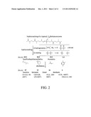 Botryoccocus braunii Triterpene Synthase Proteins and Nucleic Acid     Molecules, and Methods for Their Use diagram and image