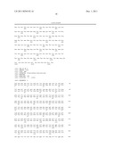 FUSION COLLAGENASE IN WHICH AFFINITY TAG IS LINKED AND METHOD FOR     PRODUCING THE SAME diagram and image