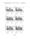 EFFICIENT CELL CULTURE SYSTEM FOR HEPATITIS C VIRUS GENOTYPE 2B diagram and image