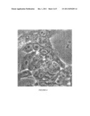 METHODS FOR PRODUCING NONADHERENT AVIAN CELL LINES diagram and image