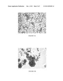 METHODS FOR PRODUCING NONADHERENT AVIAN CELL LINES diagram and image