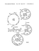 Methods of Screening Molecular Libraries and Active Molecules Identified     Thereby diagram and image