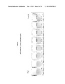 METHODS AND MATERIALS FOR THE DETECTION OF MELAMINE diagram and image