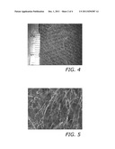 STRUCTURED THERMOPLASTIC IN COMPOSITE INTERLEAVES diagram and image