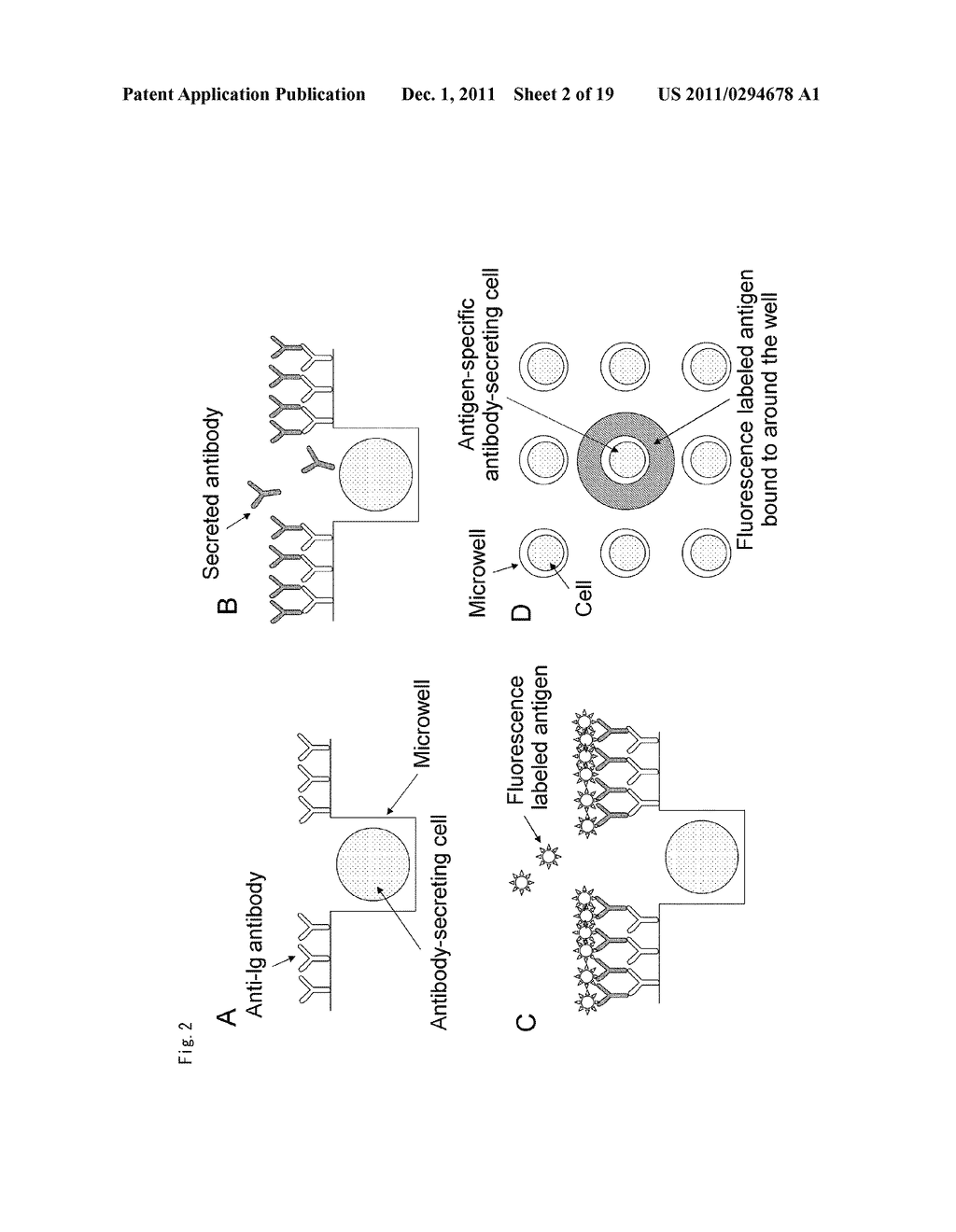 CELLS SCREENING METHOD - diagram, schematic, and image 03