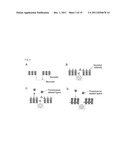 CELLS SCREENING METHOD diagram and image