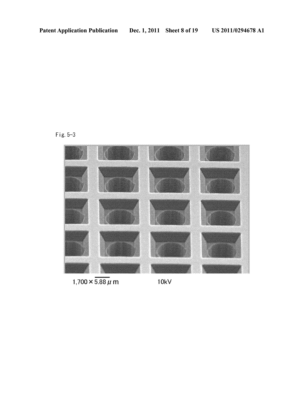 CELLS SCREENING METHOD - diagram, schematic, and image 09