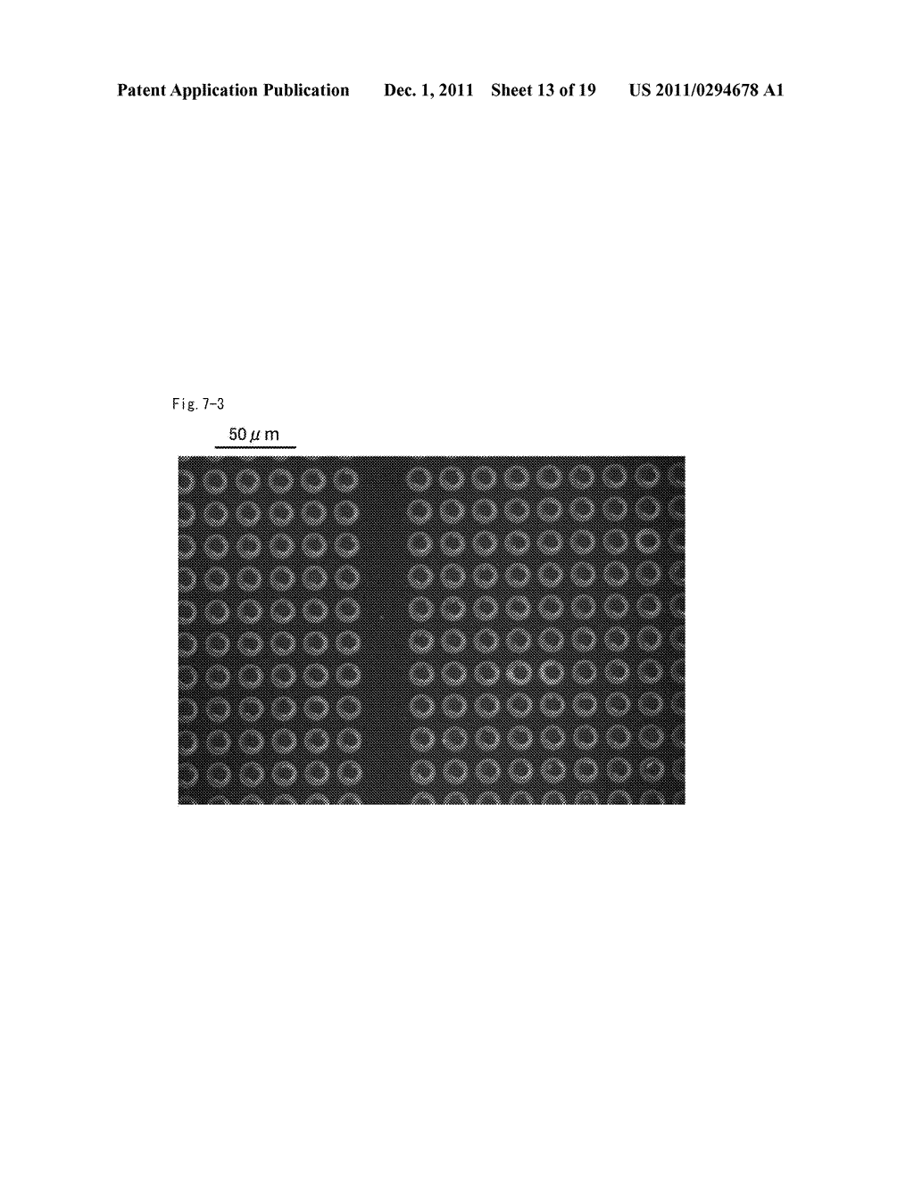 CELLS SCREENING METHOD - diagram, schematic, and image 14