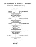 Nucleic acid amplification using non-random primers diagram and image