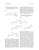 BETA-LACTAMASE INHIBITORS diagram and image