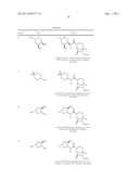 BETA-LACTAMASE INHIBITORS diagram and image