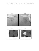 Pharmaceutical Composition for the Treatment of Solar Urticaria diagram and image