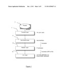 HOST IDENTITY PROTOCOL SERVER ADDRESS CONFIGURATION diagram and image