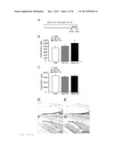 ASSAY FOR SCREENING ANTIDEPRESSANTS diagram and image