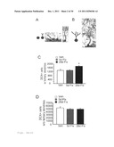 ASSAY FOR SCREENING ANTIDEPRESSANTS diagram and image