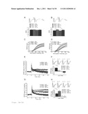 ASSAY FOR SCREENING ANTIDEPRESSANTS diagram and image