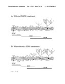 ASSAY FOR SCREENING ANTIDEPRESSANTS diagram and image