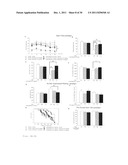 ASSAY FOR SCREENING ANTIDEPRESSANTS diagram and image