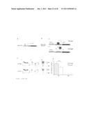 ASSAY FOR SCREENING ANTIDEPRESSANTS diagram and image