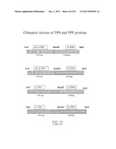 SPECIFIC GENETIC MODIFICATION OF THE ACTIVITY OF TREHALOSE-6-PHOSPHATE     SYNTHASE AND EXPRESSION IN A HOMOLOGOUS OR HETEROLOGOUS ENVIRONMENT diagram and image