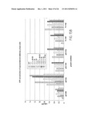 SPECIFIC GENETIC MODIFICATION OF THE ACTIVITY OF TREHALOSE-6-PHOSPHATE     SYNTHASE AND EXPRESSION IN A HOMOLOGOUS OR HETEROLOGOUS ENVIRONMENT diagram and image