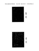 NANOWIRE-BASED TRANSPARENT CONDUCTORS AND APPLICATIONS THEREOF diagram and image