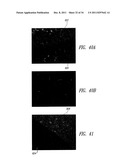 NANOWIRE-BASED TRANSPARENT CONDUCTORS AND APPLICATIONS THEREOF diagram and image