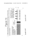 FORMING PLASTIC PANELS diagram and image