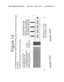 FORMING PLASTIC PANELS diagram and image