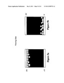 DRIVING METHOD FOR ELECTROPHORETIC DISPLAYS diagram and image