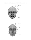 METHOD FOR REPLACING OBJECTS IN IMAGES diagram and image