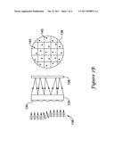 WAVEFRONT SENSING FOR BIOMETRIC IMAGING diagram and image