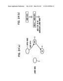 Packet Transferring/Transmitting Method And Mobile Communication System diagram and image